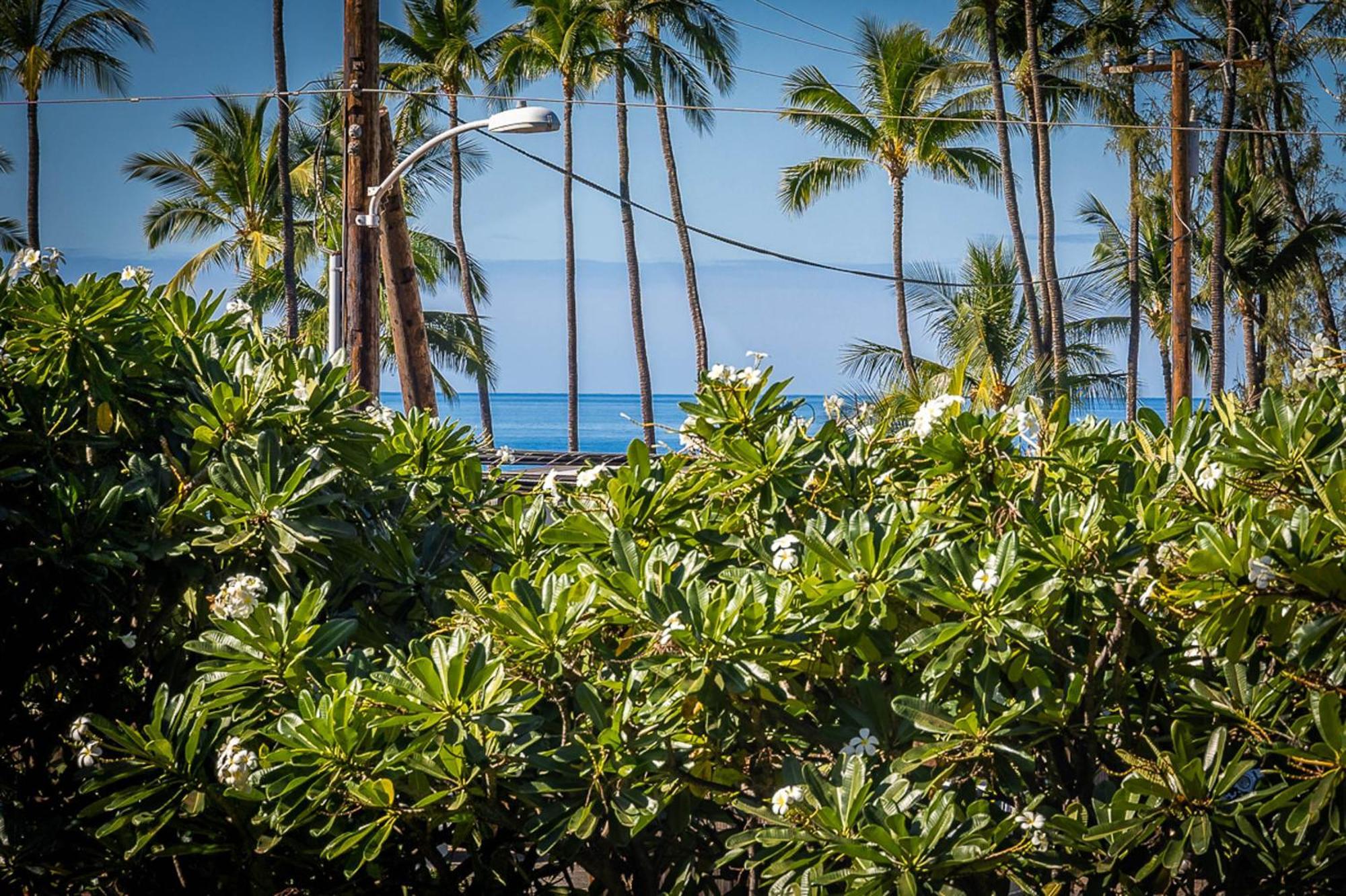 Maui Vista 1210 Lägenhet Kihei Exteriör bild