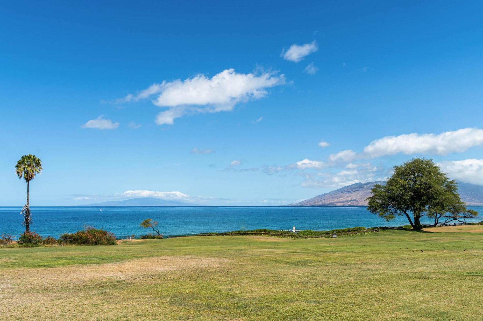 Maui Vista 1210 Lägenhet Kihei Exteriör bild