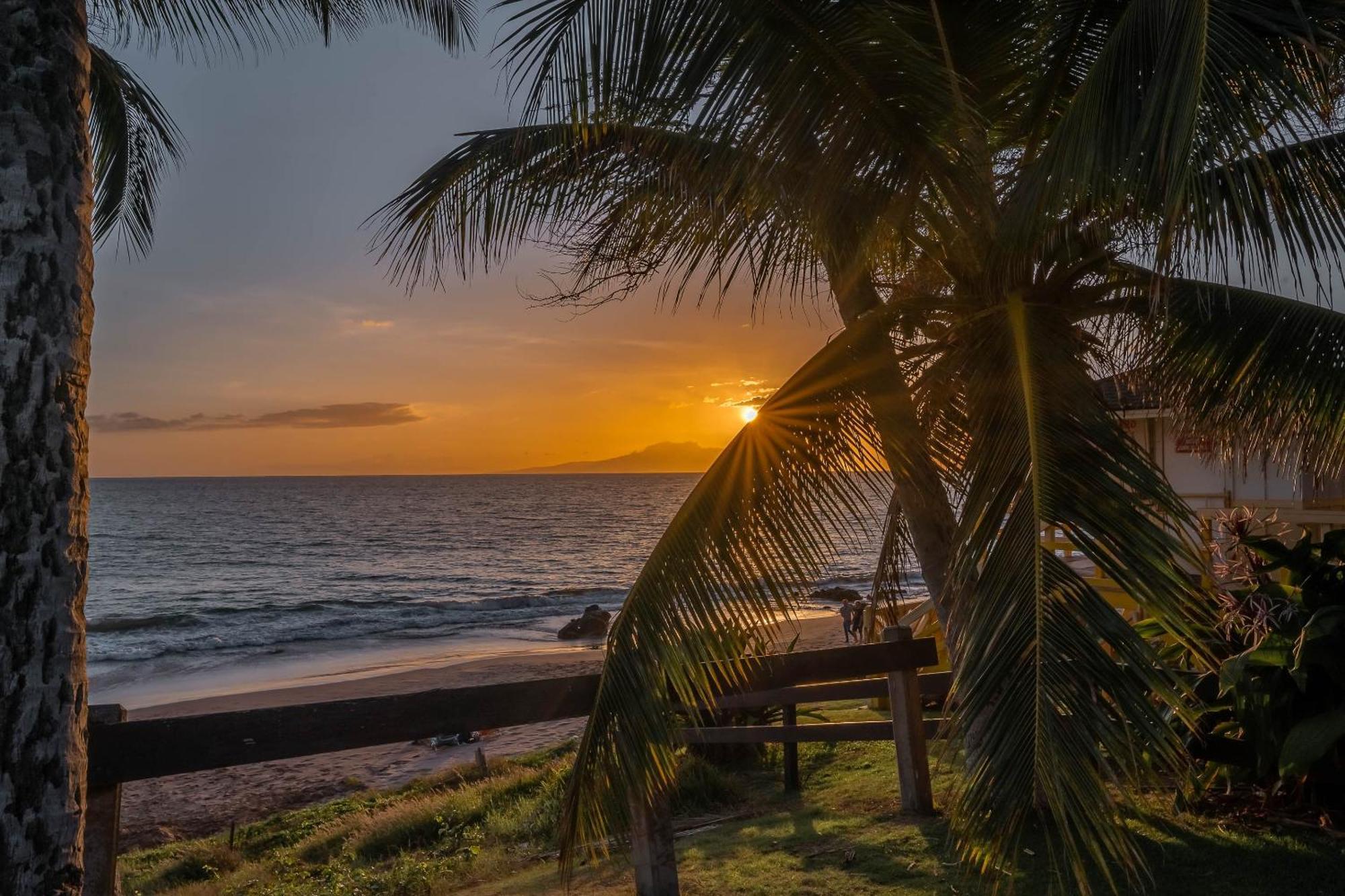 Maui Vista 1210 Lägenhet Kihei Exteriör bild